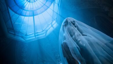 Elenco Estelar de Wednesday en Netflix Sigue Expandiéndose con Grandes Incorporaciones