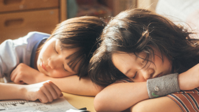 Look Back: La Primera Adaptación Live-Action de Tatsuki Fujimoto que Emociona a Fans y Críticos