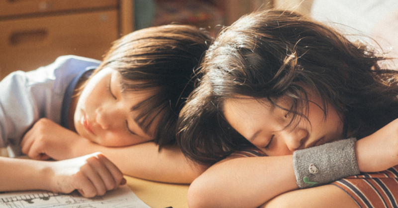 Look Back: La Primera Adaptación Live-Action de Tatsuki Fujimoto que Emociona a Fans y Críticos