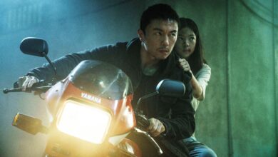 The Furious: Una obra maestra del cine de acción contemporáneo que redefine el género