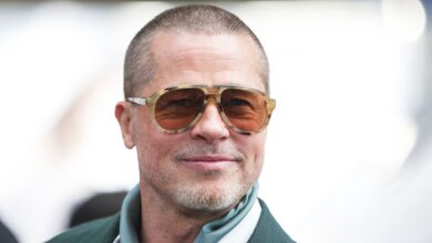 Heart of the Beast: La nueva película de Brad Pitt que garantiza conmover hasta las lágrimas