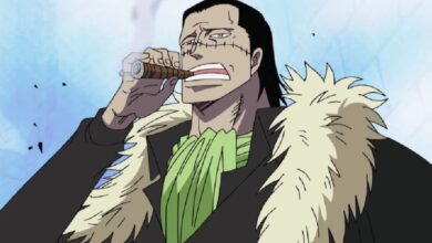 El gran mito de One Piece que revela un malentendido sobre la visión de Eiichiro Oda