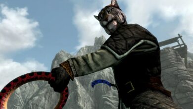 El nuevo DLC de Skyrim divide a los fans que esperan The Elder Scrolls 6