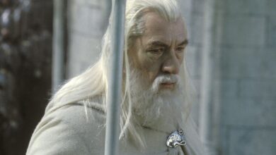 El Nuevo Reparto de El Señor de los Anillos Confirma que la Saga de Peter Jackson Está Lejos de Concluir