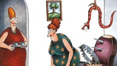 El Humor Inolvidable de The Far Side: 10 Tiras Cómicas que Desafían lo Convencional y Te Harán Escupir la Bebida