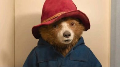 Paddington Regresa al Teatro Broadway con un Musical que Revoluciona la Franquicia