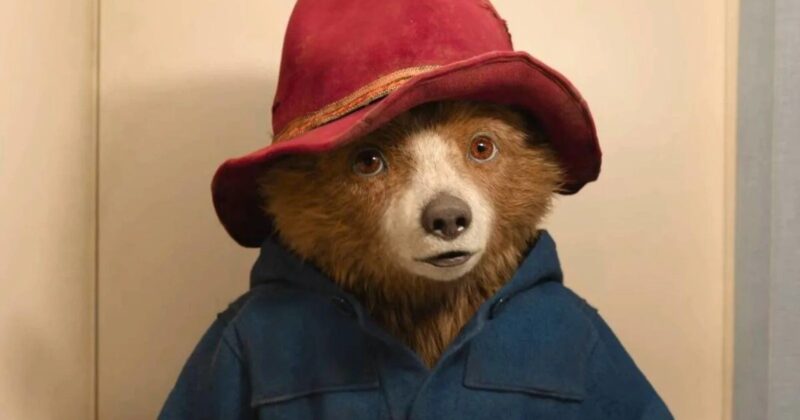 Paddington Regresa al Teatro Broadway con un Musical que Revoluciona la Franquicia