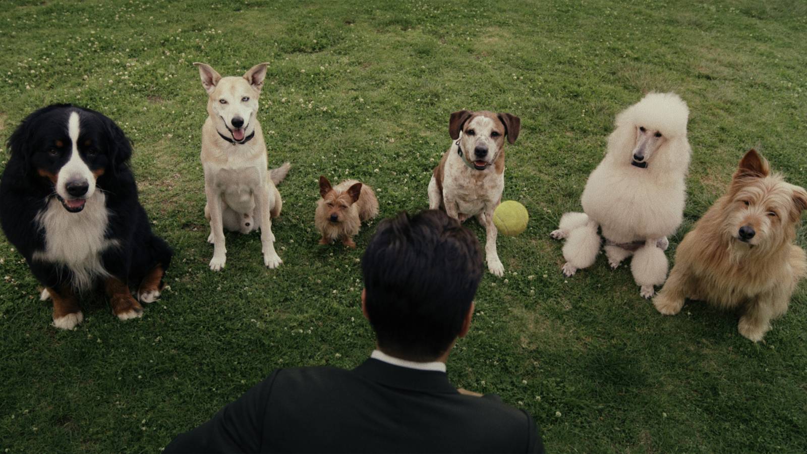 John Sugar mostrando un truco a perros en Sugar temporada 2 episodio 1