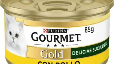 Pack de 24 latas de comida húmeda Purina Gourmet Gold Pollo para gatos con un 37% de descuento en Amazon