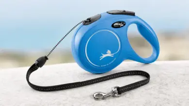 Correa extensible Flexi Classic M para perros hasta 20 kg: control cómodo con un 52% de descuento