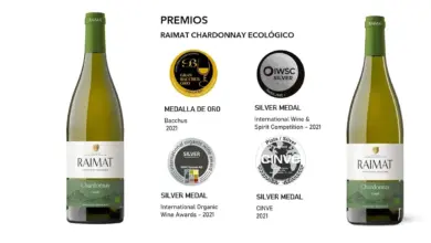 Aprovecha el Raimat Castell Chardonnay Ecológico con un 26% de descuento, solo 6,10 €