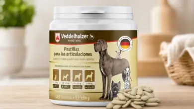 Comprimidos para articulaciones de perros Veddelholzer con glucosamina y colágeno al 28% de descuento