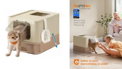 Arenero Feandrea para gatos grandes con sistema antifiltración y bandeja deslizante: 34% de descuento a 32,99 €