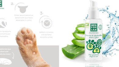 Gel protector Menforsan: cuida las almohadillas de tu perro o gato con un 39% de descuento