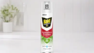 Raid Essentials Insecticida contra Cucarachas y Hormigas: Efecto Rápido con 32% de Descuento