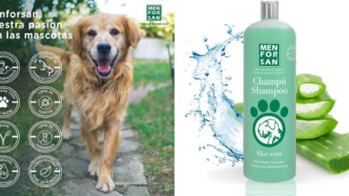 Champú Menforsan Aloe Vera para perros: cuidado suave con 36% de descuento