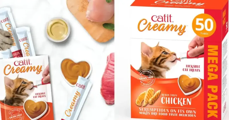 Pack 50 tubos de comida húmeda Catit Creamy Pollo para gatos con un 20% de descuento