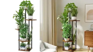Aprovecha el Soporte Esquinero Bamworld de 5 Niveles para Plantas con 32% de Descuento en Amazon