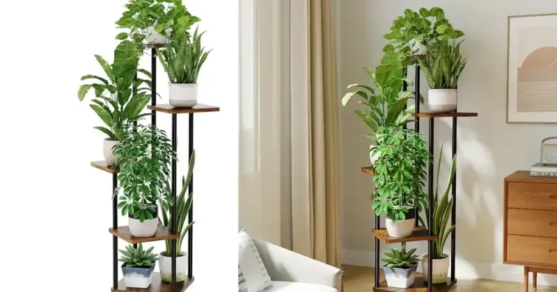 Aprovecha el Soporte Esquinero Bamworld de 5 Niveles para Plantas con 32% de Descuento en Amazon