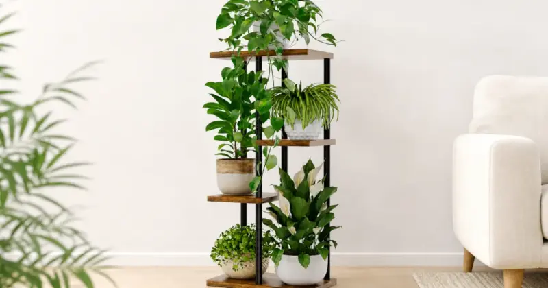 Soporte Bamworld de 4 niveles para plantas: organiza y destaca tus macetas con un 25% de descuento