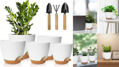 Pack de 5 macetas con autorriego Idealife: cuidado fácil para tus plantas por solo 16,85 €