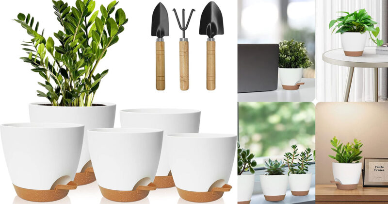 Pack de 5 macetas con autorriego Idealife: cuidado fácil para tus plantas por solo 16,85 €