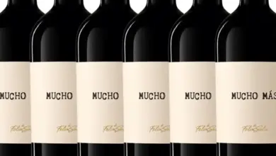 Vino Tinto Mucho Más Tempranillo-Shiraz al 47% de descuento, sabor intenso y crianza en barrica