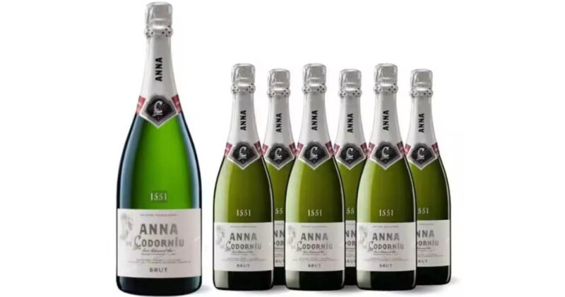Anna de Codorniu: Cava de Calidad con 26% de Descuento y Precio Imbatible