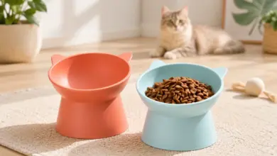 Comederos elevados Amazon Basics para gatos con diseño ergonómico y forma de oreja, pack de 2 por 7,38 € con 20% de descuento