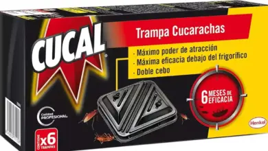 Pack de 6 trampas Cucal para cucarachas con doble cebo a 4,91 € con un 31% de descuento
