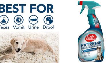 Spray quitamanchas y malos olores Simple Solution Extreme para perros, gran tamaño y precio muy competitivo