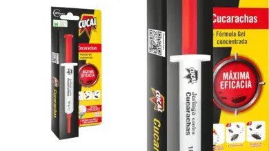 Cebo en gel Cucal en jeringa: elimina cucarachas en toda la colonia por 5,67€ con un 11% de descuento